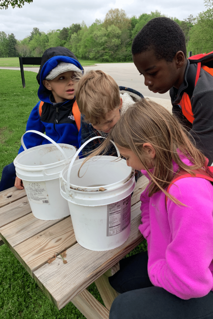 Kids at forest school learning outside the classroom.  Looking at crawdads in a bucket.  