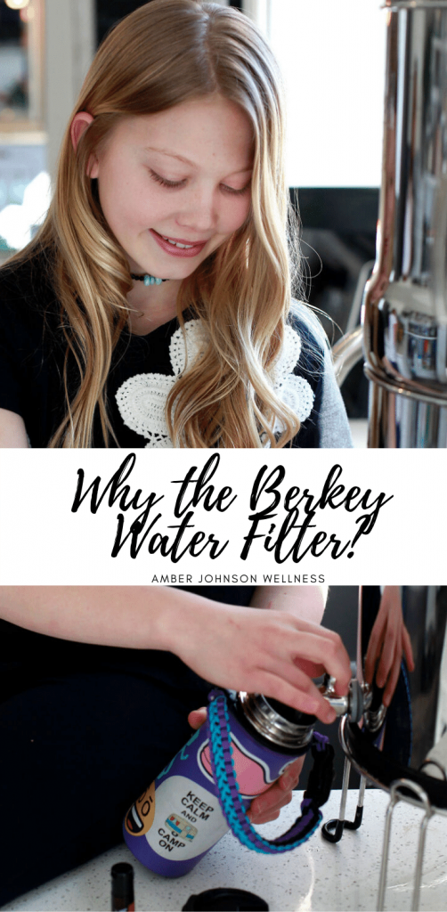 Berkey Water Filter System
Toxin and fluoride free water