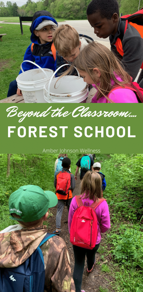 kids exploring nature in the forest and outside the school classroom