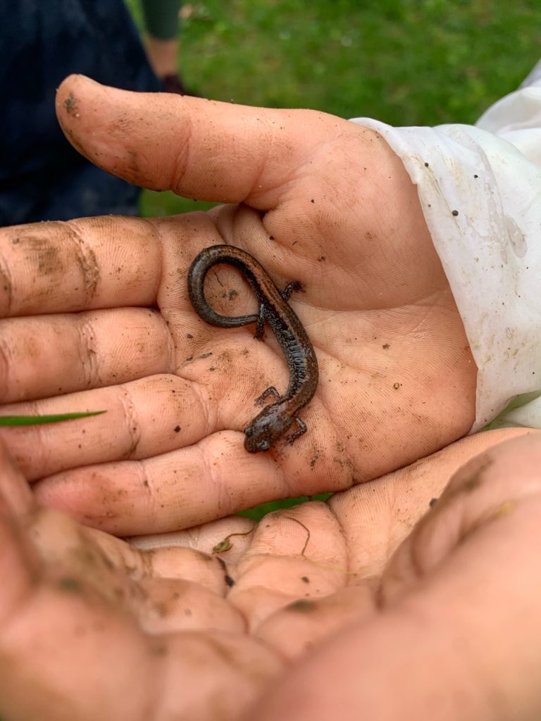 Kid with salamander