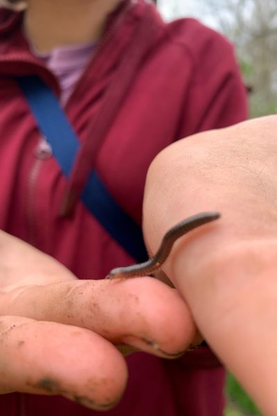 Kid with millipede